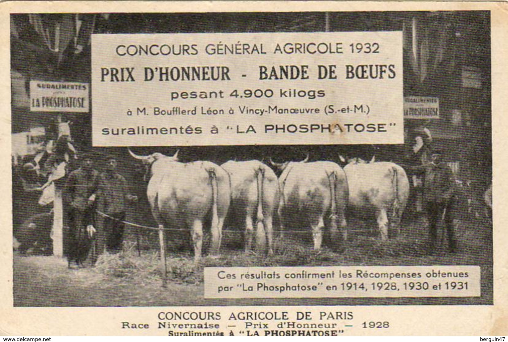 BANDE DE BŒUFS  Prix D'Honneur Concours Général Agricole 1932  ( Publicité Pour La Phosphatose ) - Viehzucht