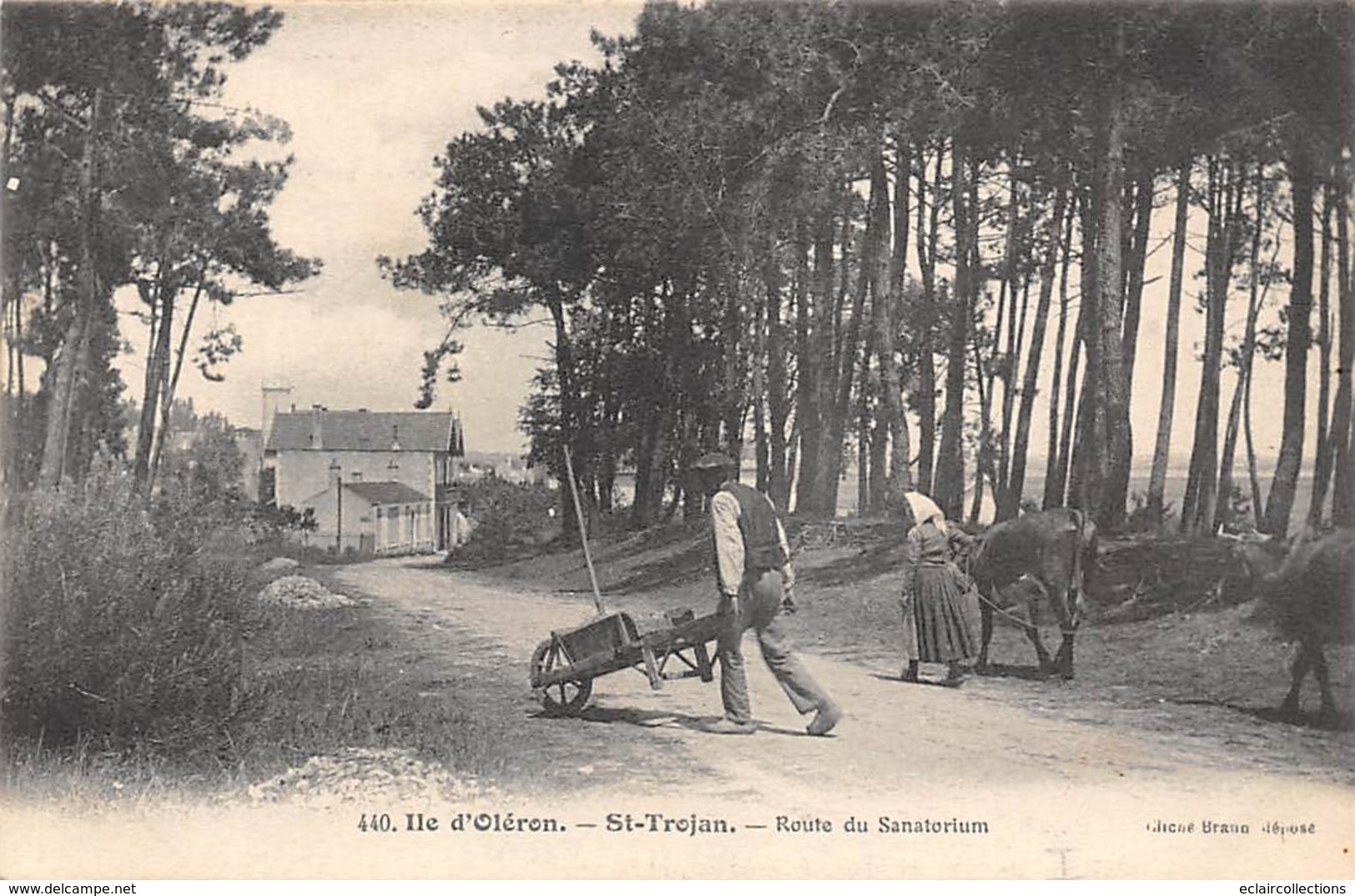 Ile D'Oléron.  St Trojan Les Bains    17     Route Du Sanatorium       (voir Scan) - Ile D'Oléron