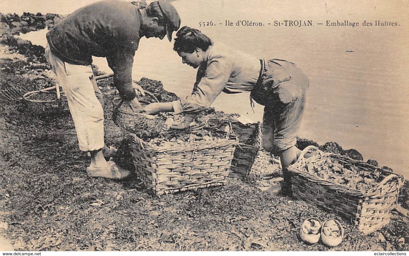 Ile D'Oléron.  St Trojan Les Bains    17    Emballage Des Huitres       (voir Scan) - Ile D'Oléron