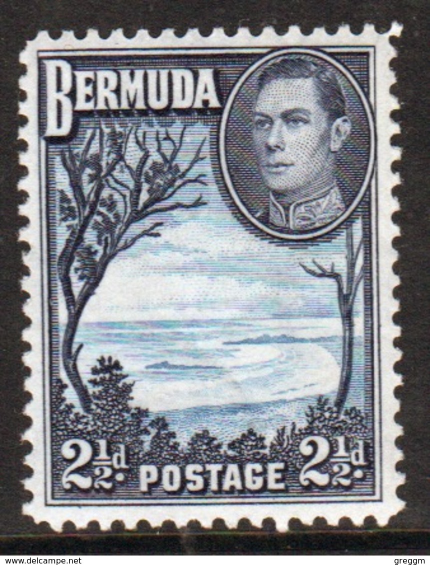 Bermuda George VI 2½d Single Stamp From The 1938 Definitive Set. - Bermuda