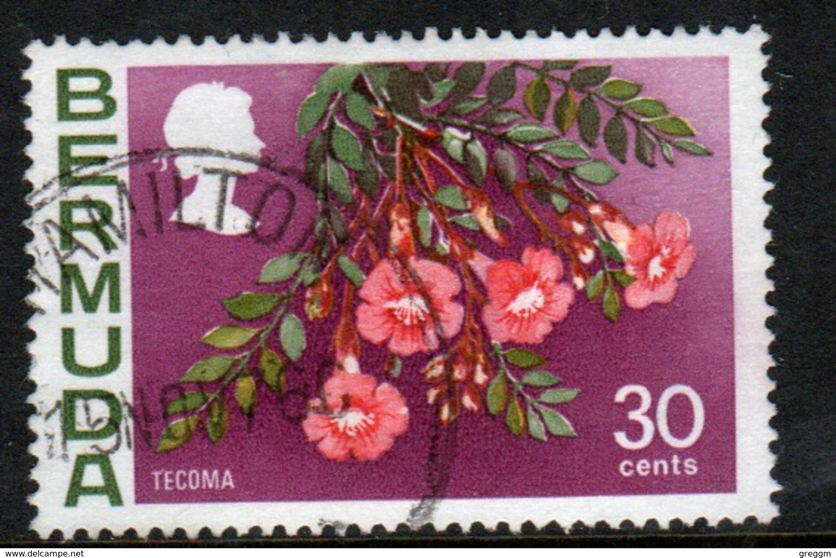 Bermuda Elizabeth II 1970 Single 30c Stamp From The Flowers Definitive Set. - Bermuda