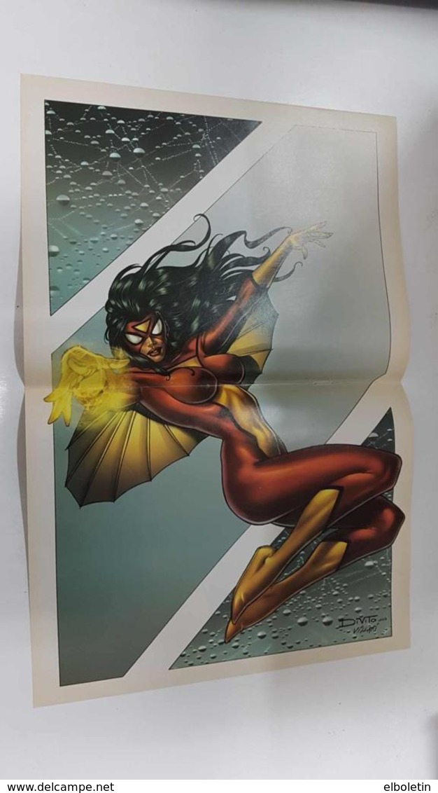 Poster Doble: She-Hulk (Mike Mayhew), Spider-Woman (Andrea DiVito). Proveniente De Women Of Marvel Posterbook - Otros & Sin Clasificación