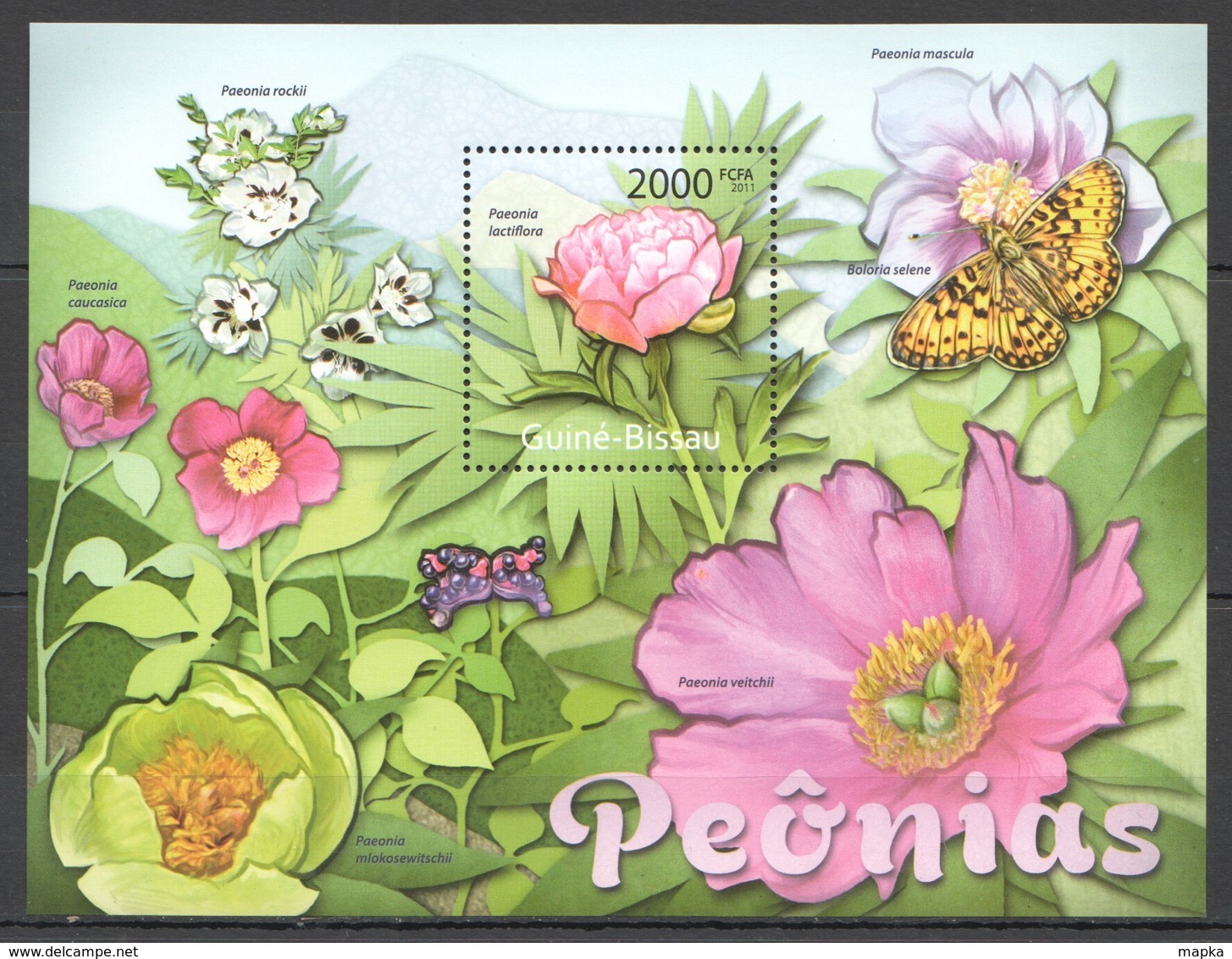 BC679 2011 GUINE GUINEA-BISSAU FLORA NATURE FLOWERS BUTTERFLIES PEONIAS PEONIES BL MNH - Autres & Non Classés