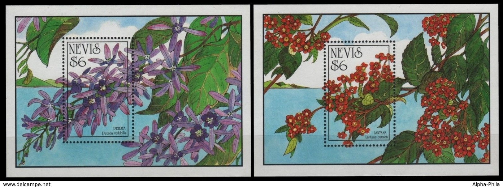 Nevis 1993 - Mi-Nr. Block 62-63 ** - MNH - Blumen / Flowers - St.Kitts Und Nevis ( 1983-...)