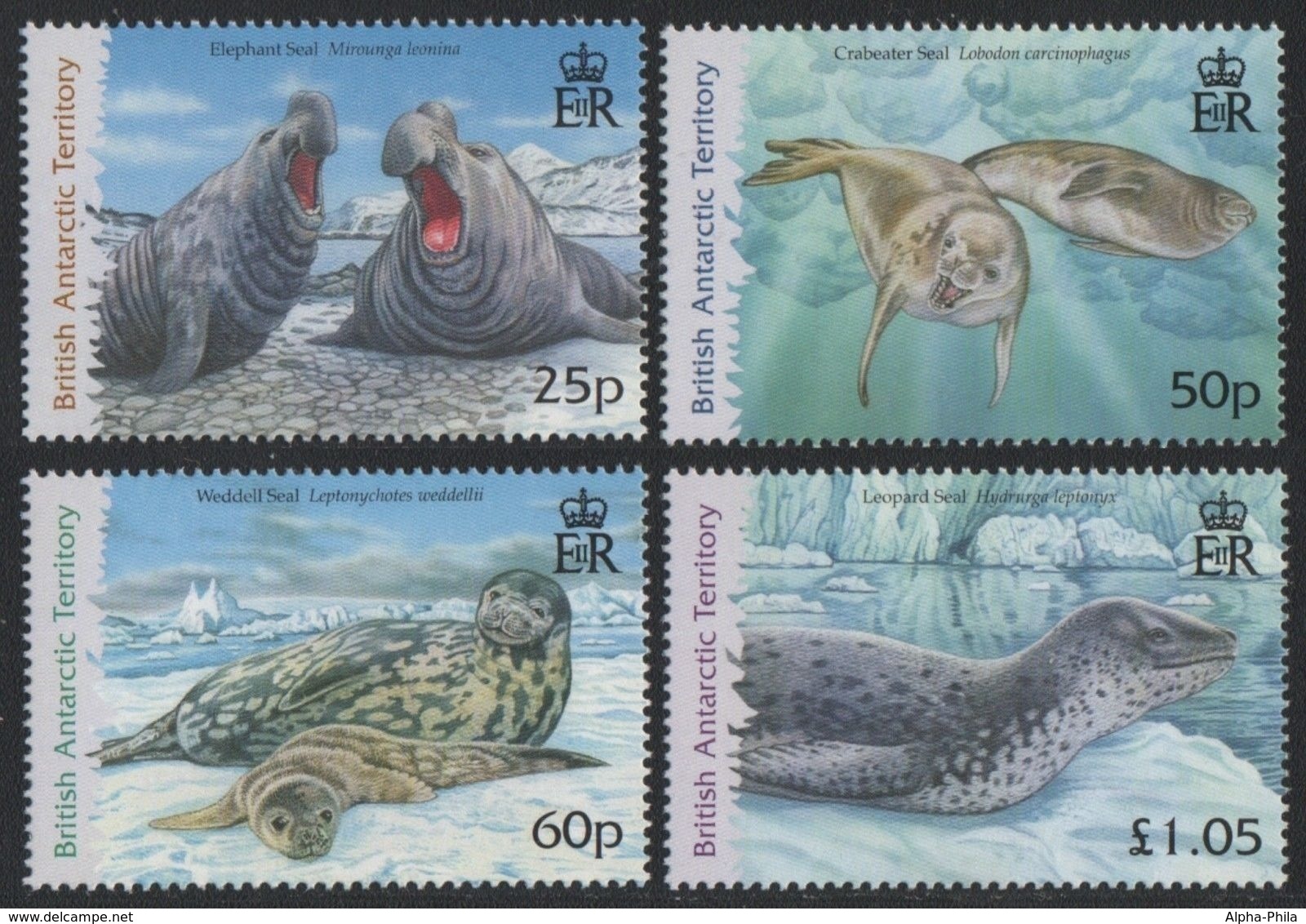 BAT / Brit. Antarktis 2006 - Mi-Nr. 446-449 ** - MNH - Robben / Seals - Ungebraucht