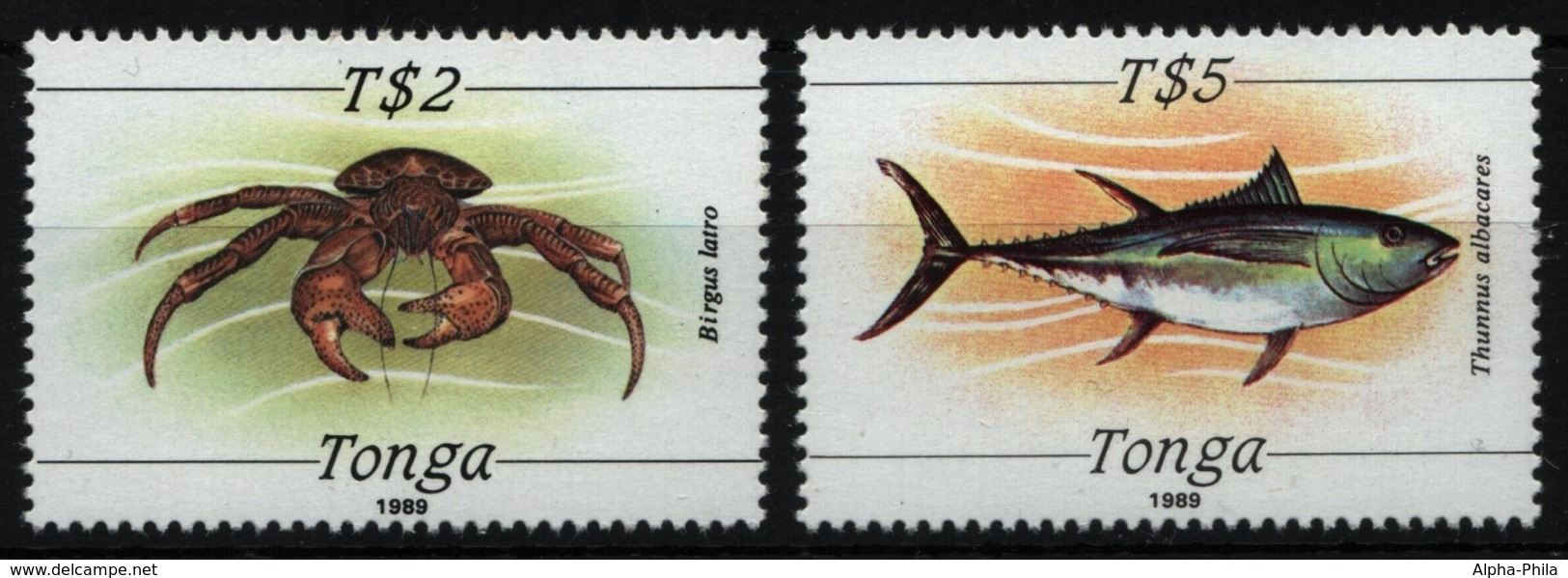 Tonga 1989 - Mi-Nr. 1061-1062 ** - MNH - Meerestiere / Marine Life - Tonga (1970-...)