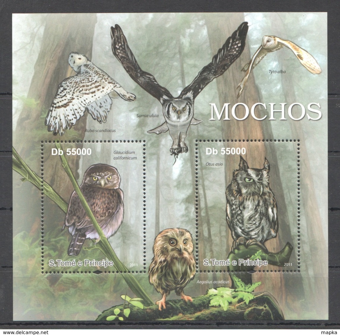 BC908 2011 S.TOME E PRINCIPE FAUNA BIRDS OWLS MOCHOS 1BL MNH - Gufi E Civette