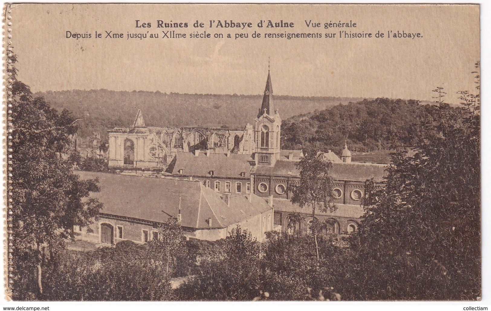 GOZEE - Vue Générale Des Ruines De L'Abbaye D'Aulne - Thuin