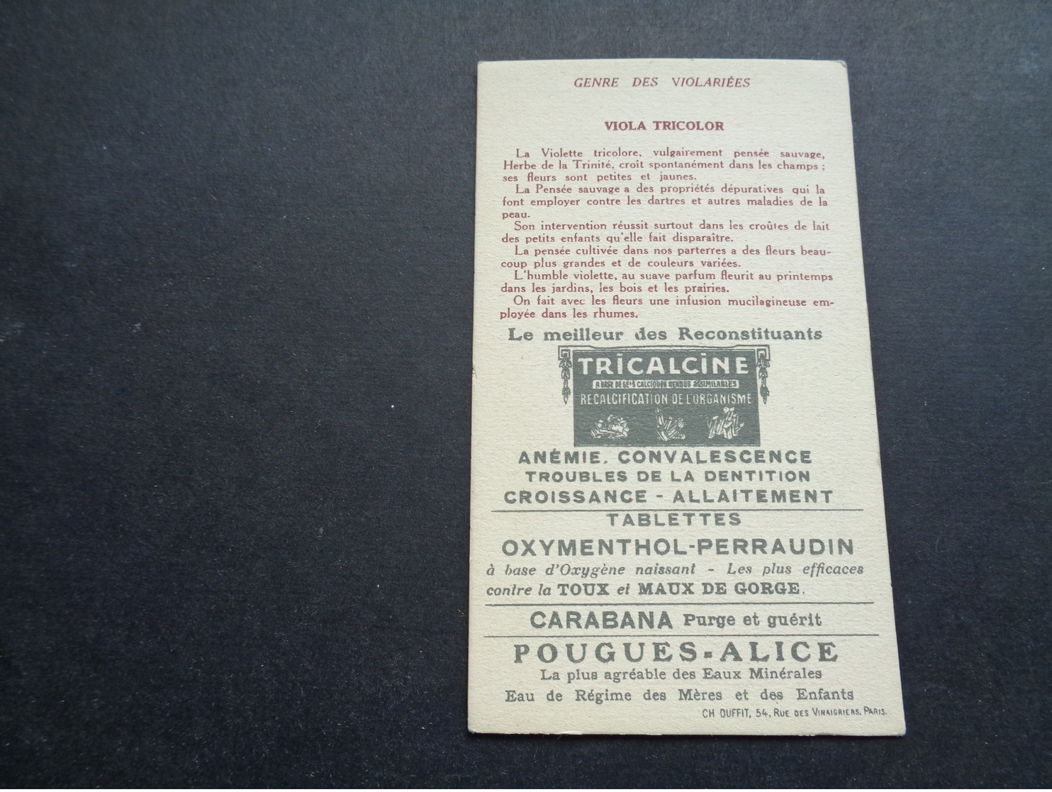 Chromo ( 403 )   Publicité  Reclame   Magasin  Winkel  -  TRICALCINE  " Les Plantes Médicinales "  Paris  Parijs - Autres & Non Classés