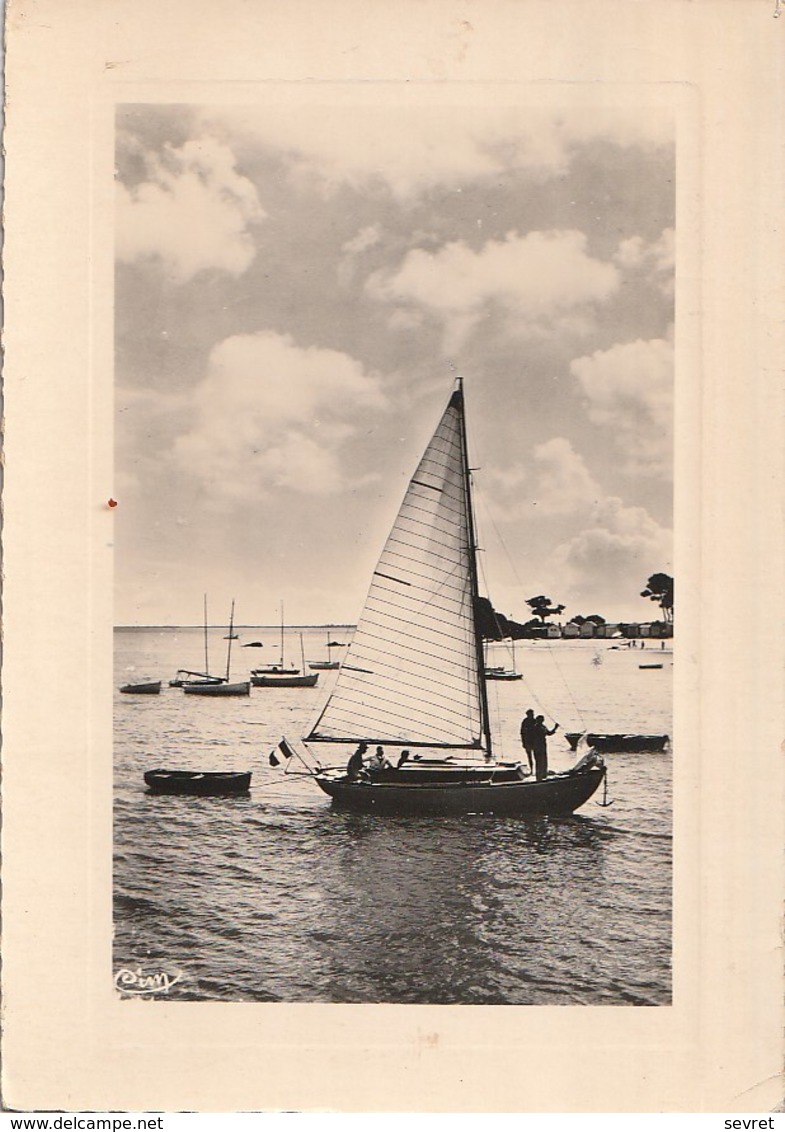 NOIRMOUTIER  - Yachting Dans La Baie Des Dames  CPM  Dentelées - L'Hermenault