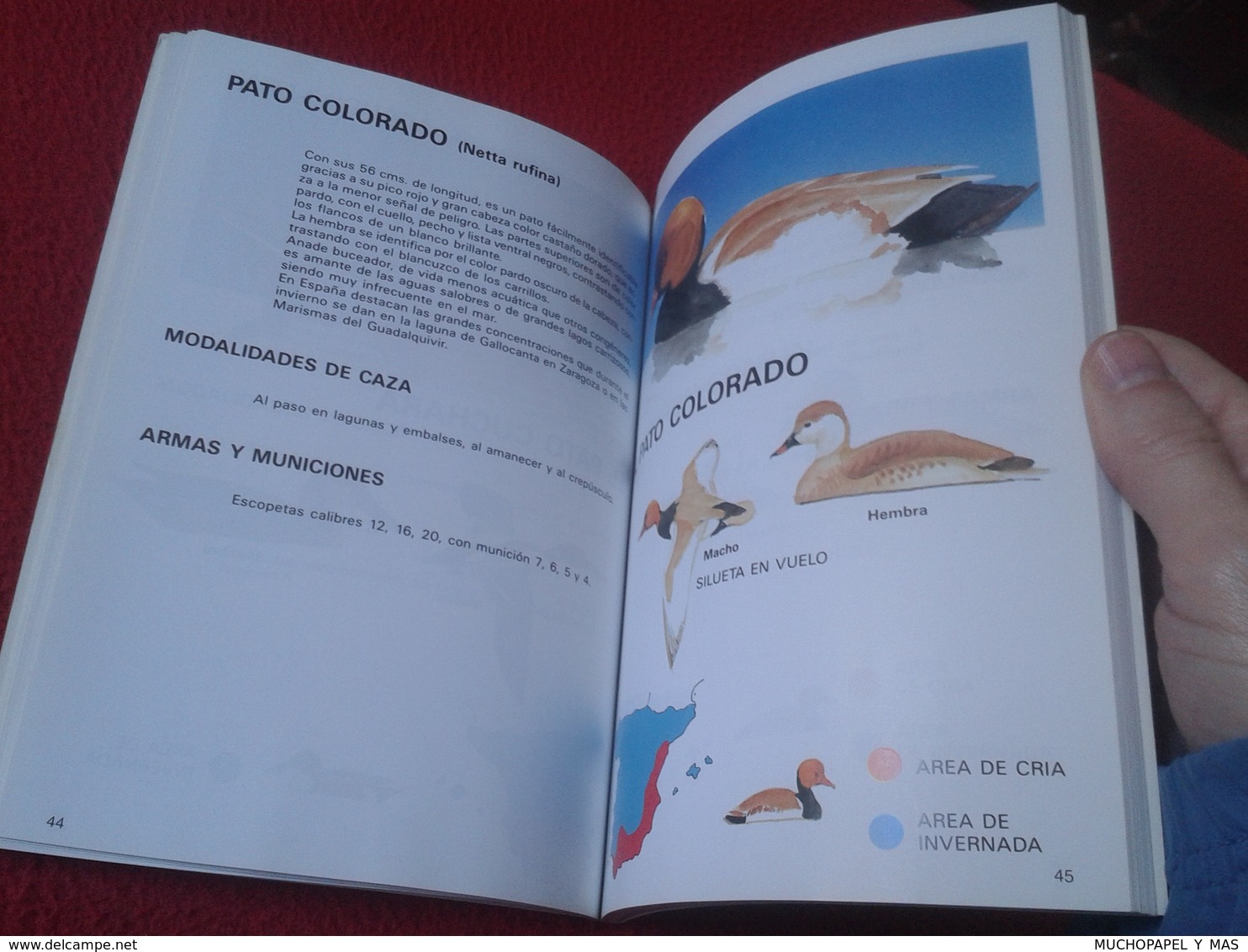 LIBRO REVISTA O FASCÍCULO TIRADORES CAZA FAUNA CINEGÉTICA ESPAÑOLA ESPECIAL JUNTA DE EXTREMADURA 1992, 120 PÁGINAS VER.. - Praktisch