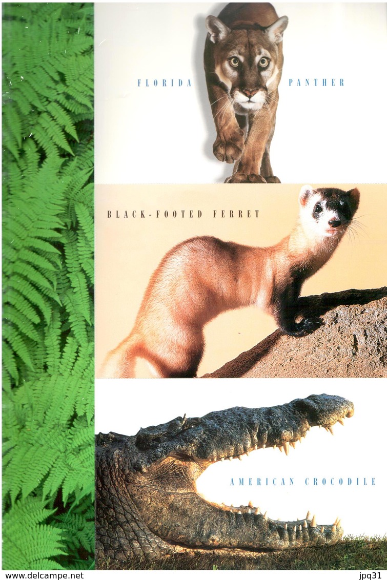 Livret 15 CP Endangered Species - 1996 - 1981-00
