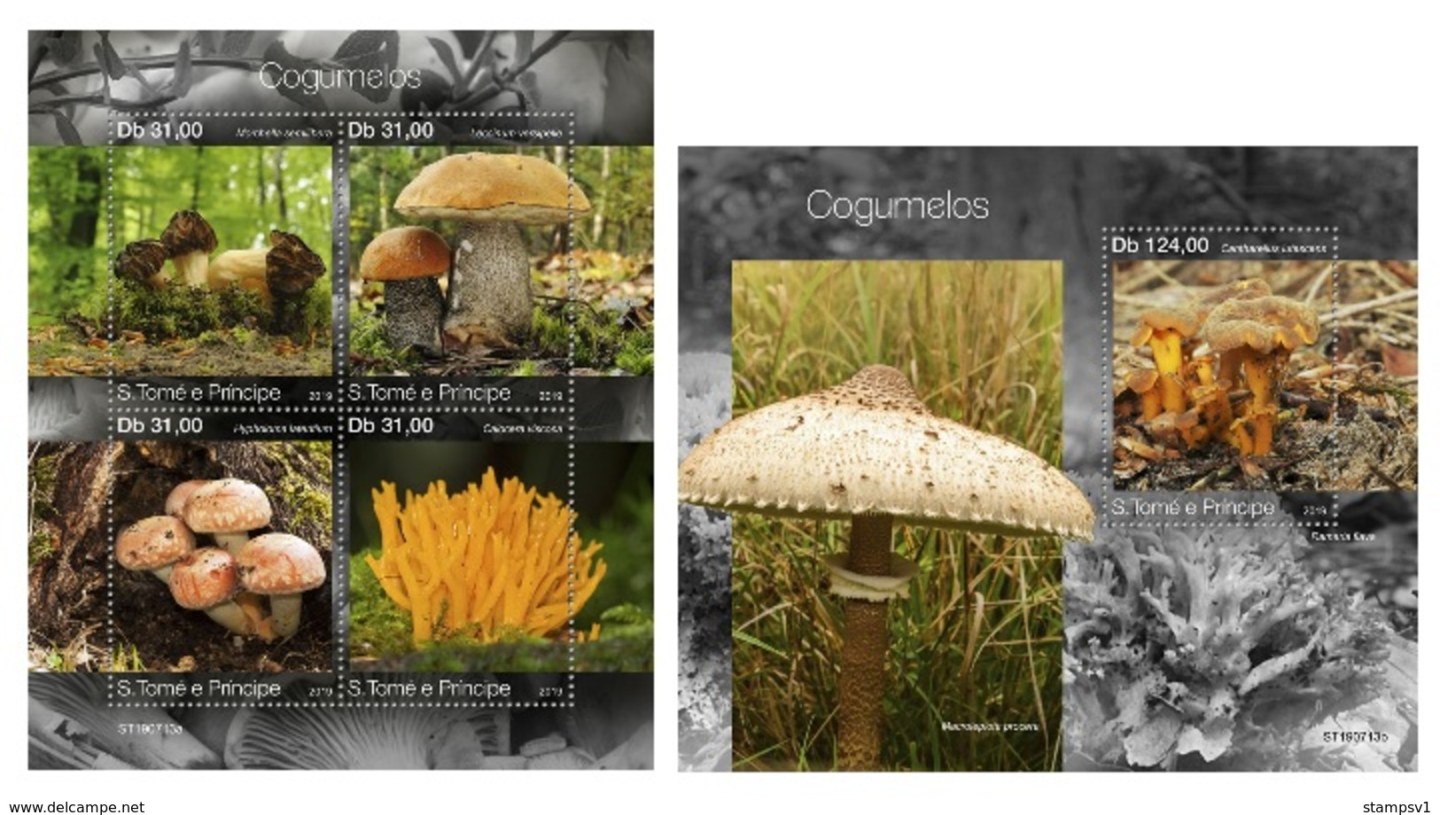 S.Tome&Principe. 2019 Mushrooms. (0713)  OFFICIAL ISSUE - Funghi