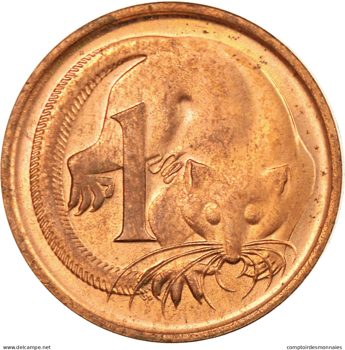 Monnaie, Australie, Elizabeth II, Cent, 1966, TTB, Bronze, KM:62 - Cent