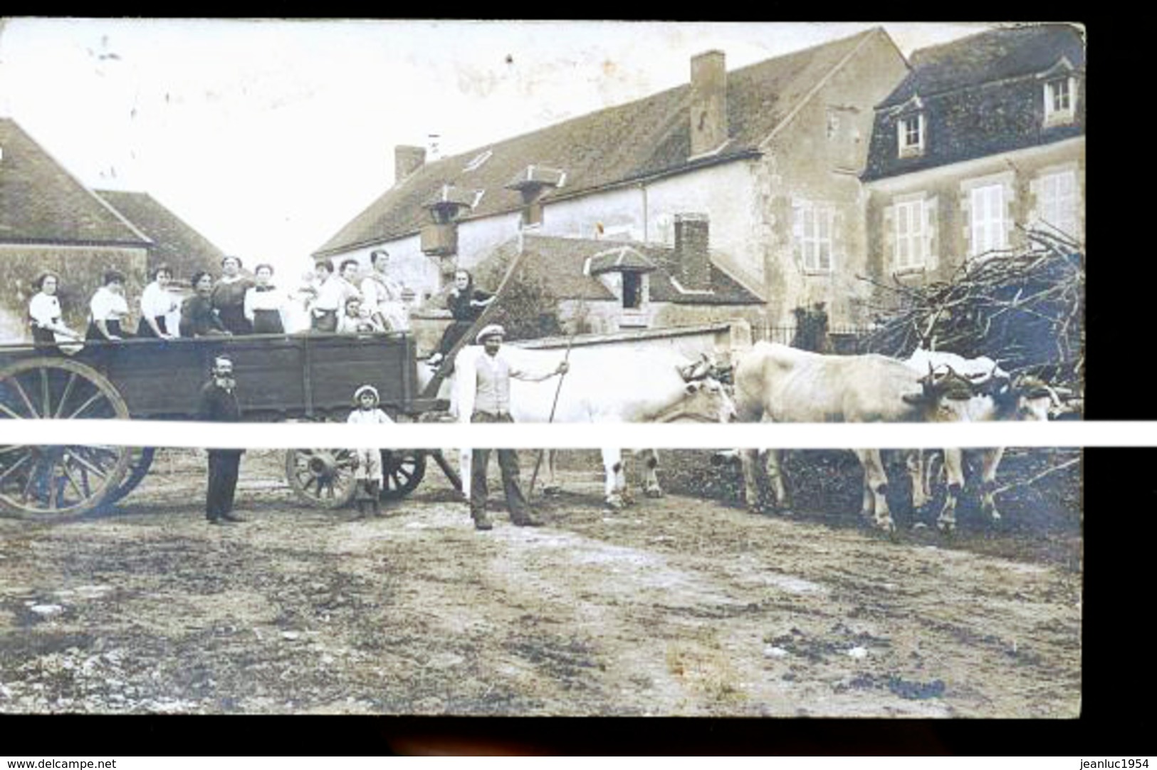 PONTIGNY FERME DE SAINT PORC  FERMIER ALEXANDRE GIBIER PHOTO CARTE UNIQUE - Pontigny