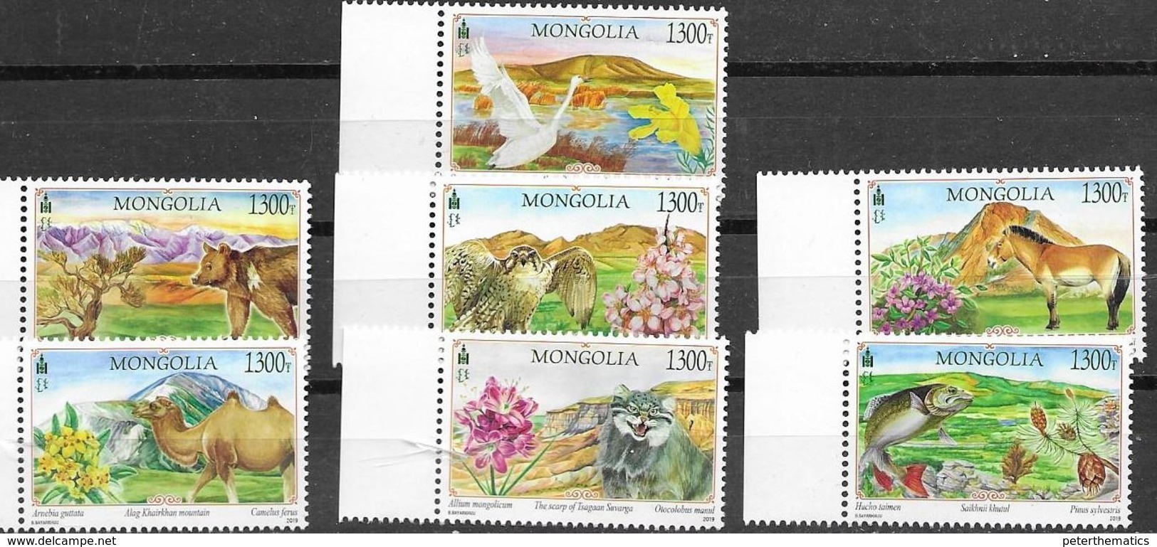 MONGOLIA, 2019, MNH, LANDSCAPES,  BIRDS,  BIRDS OF PREY, FISH, FELINES, BEARS, CAMELS, MOUNTAINS, 7v - Águilas & Aves De Presa