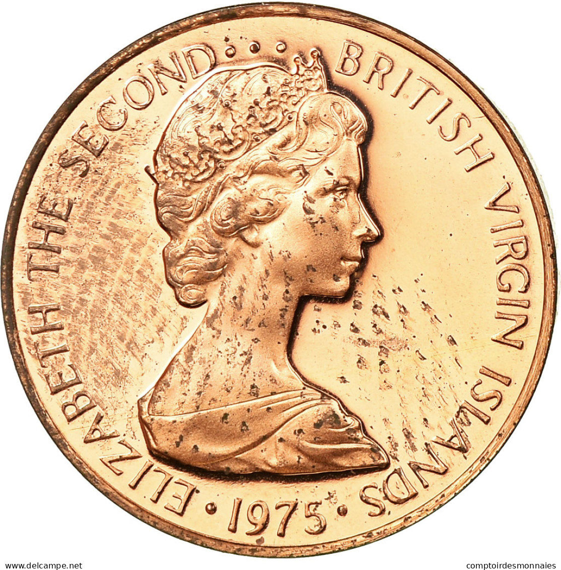 Monnaie, BRITISH VIRGIN ISLANDS, Elizabeth II, Cent, 1975, Franklin Mint - Jungferninseln, Britische