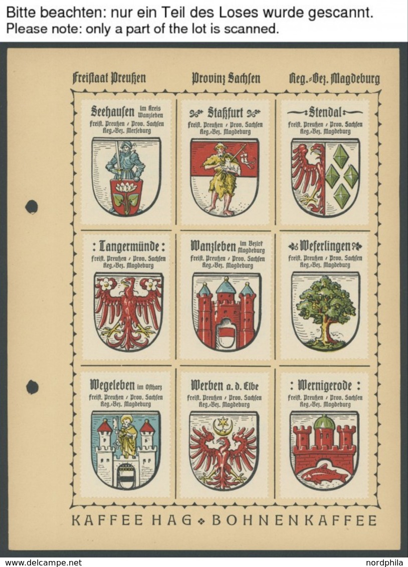 PREUSSEN *, 1925/30, 54 Verschiedene Farbige Stadtwappen-Vignetten Des Regierungsbezirks Magdeburg Von Aken A.d.Elbe Bis - Other & Unclassified