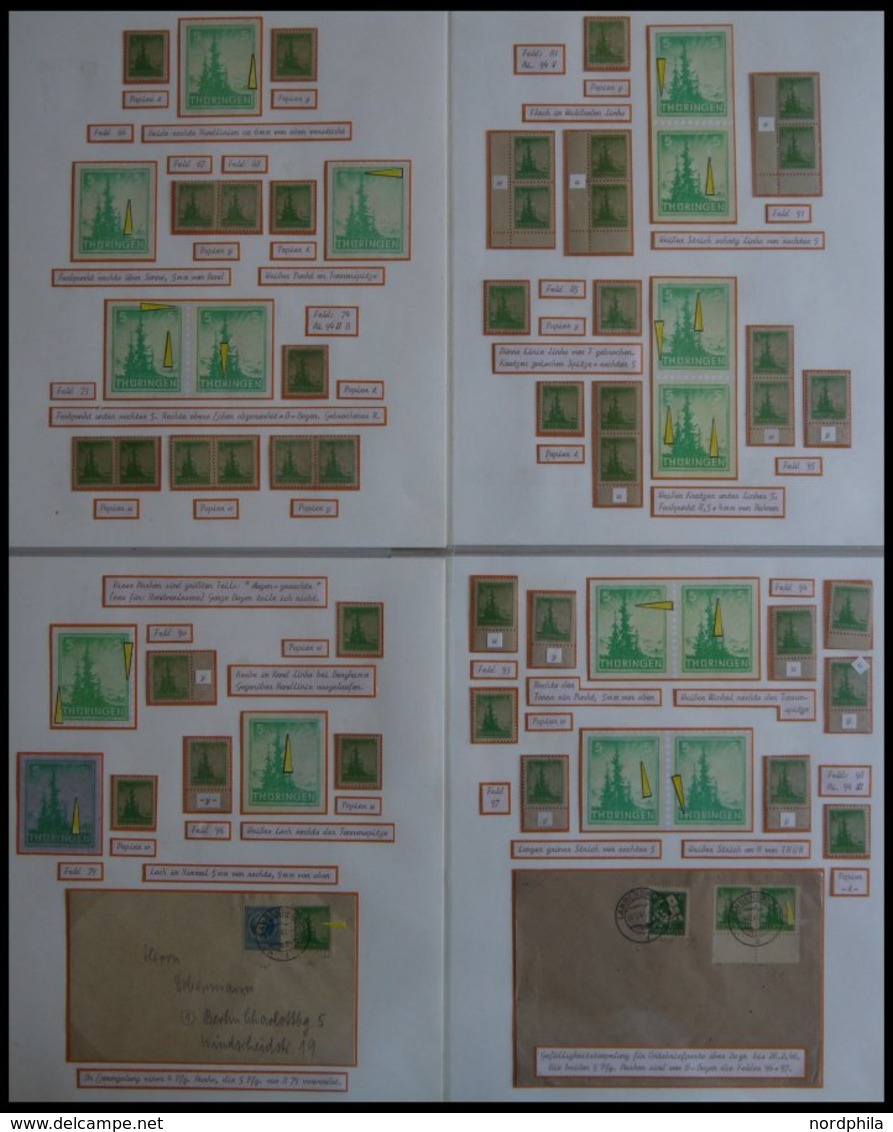 THÜRINGEN 94 **,o,Brief,* , Ausstellungssammlung 5 Pf. Tannen im Thüringer Wald, spezialisiert nach Papieren, Farben und