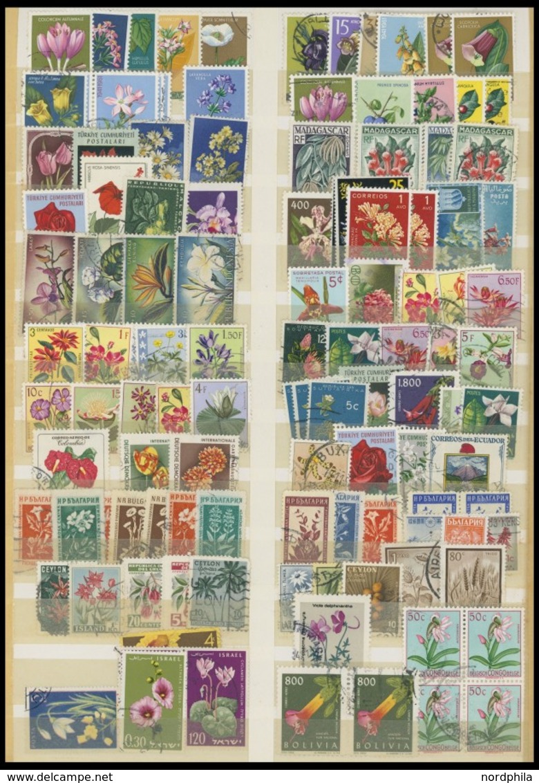 SONSTIGE MOTIVE O,** , Sammlung Blumen, Tiere Und Sportmotive, überwiegend Aus Den 60er Jahren Von Osteuropa Und Übersee - Ohne Zuordnung
