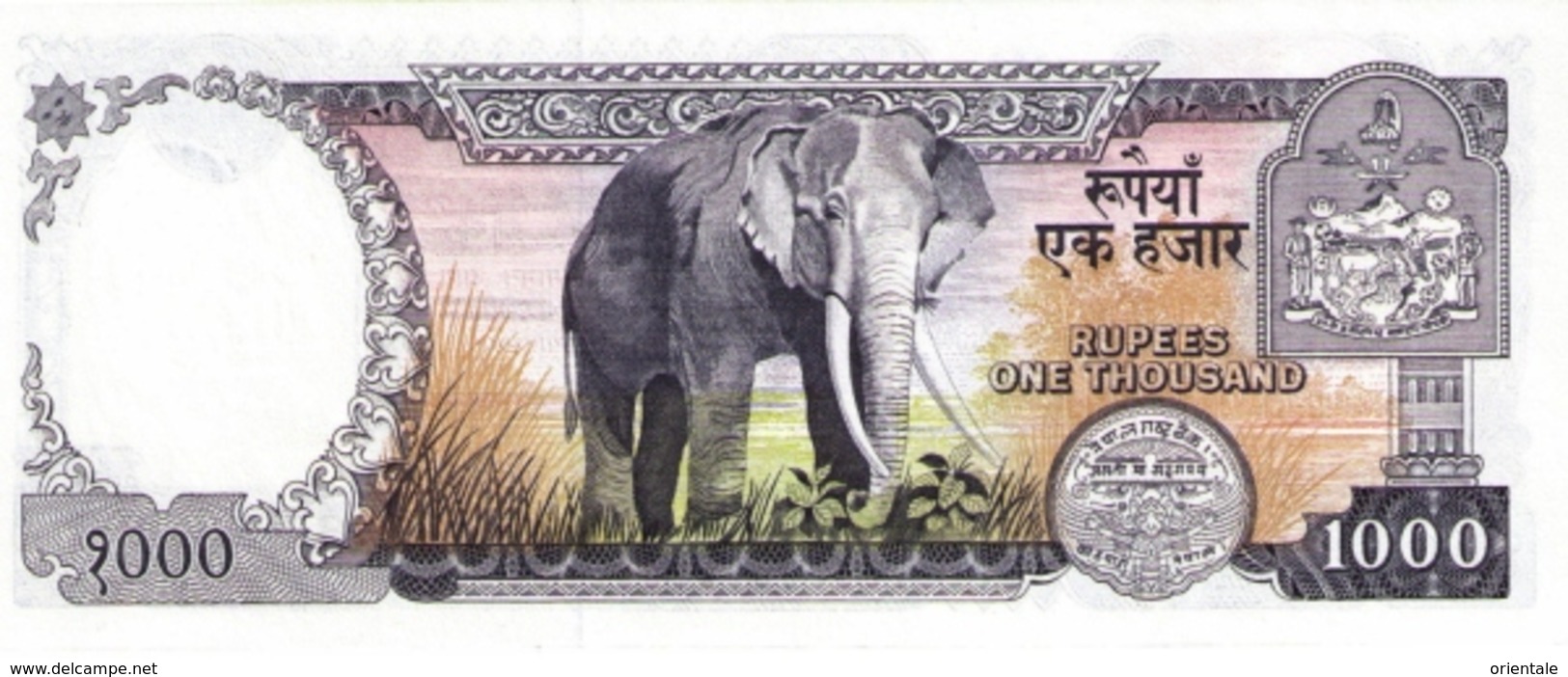 NEPAL P. 36d 1000 R 1981 UNC - Nepal