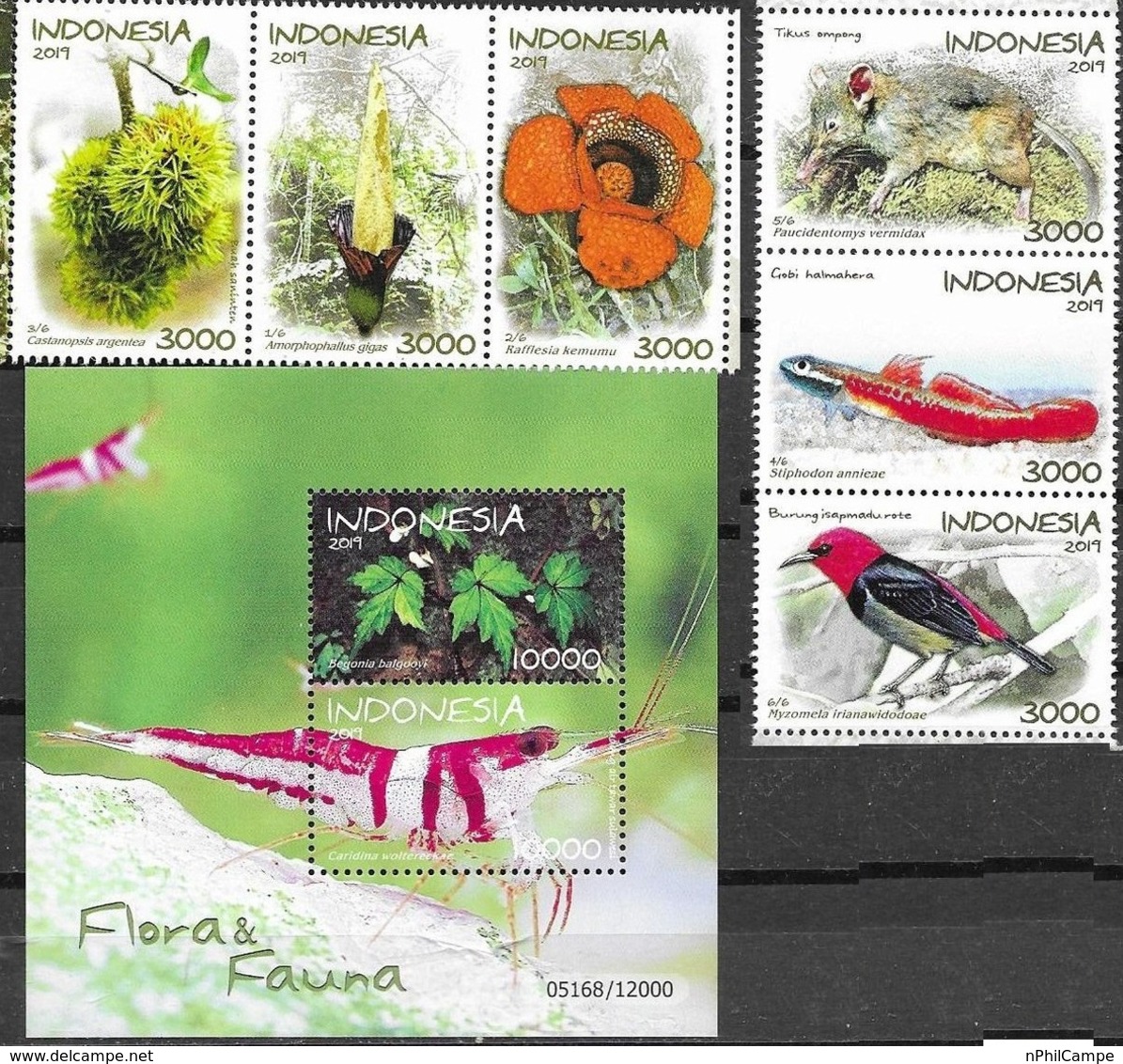 INDONESIA, 2019, MNH, FLORA AND FAUNA, MNH - Indonesia