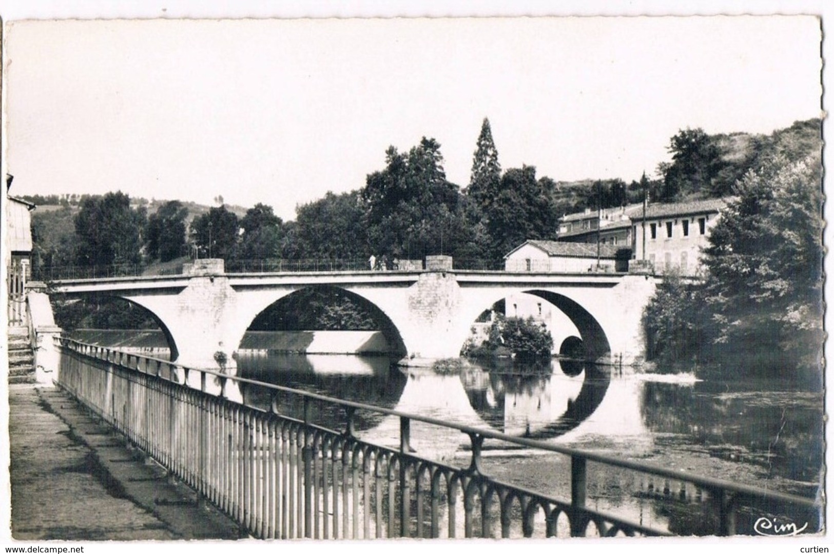 ROQUECOURBE  81  La Promenade . Pont Sur L' Agout . - Roquecourbe