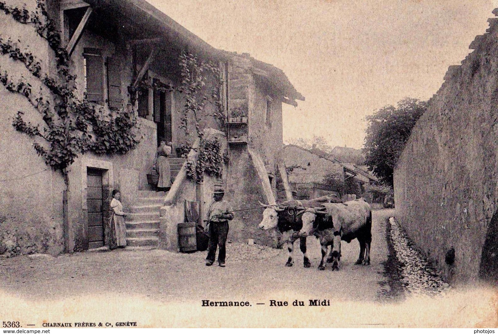 CPA  : Hermance (Suisse) Pittoresque  Rue Du Midi  Attelage  De Boeufs = Ed Charnaux 5363 - Hermance