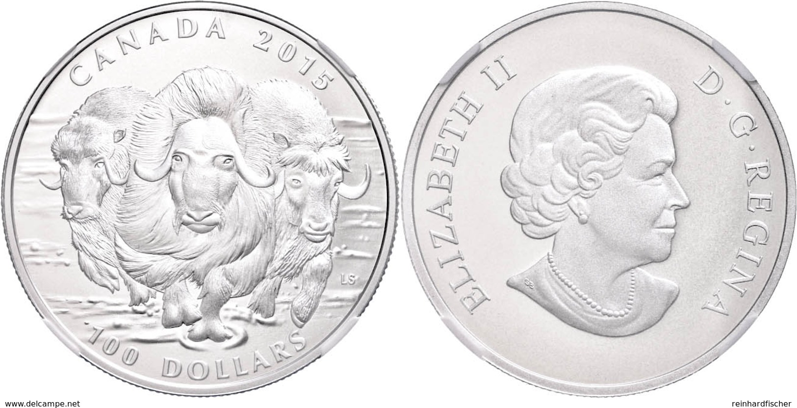 100 Dollars, Silber, 2015, Moschusochse, In Slab Der NGC Mit Der Bewertung PF70 Matte, Early Releases, Flag Label. - Canada