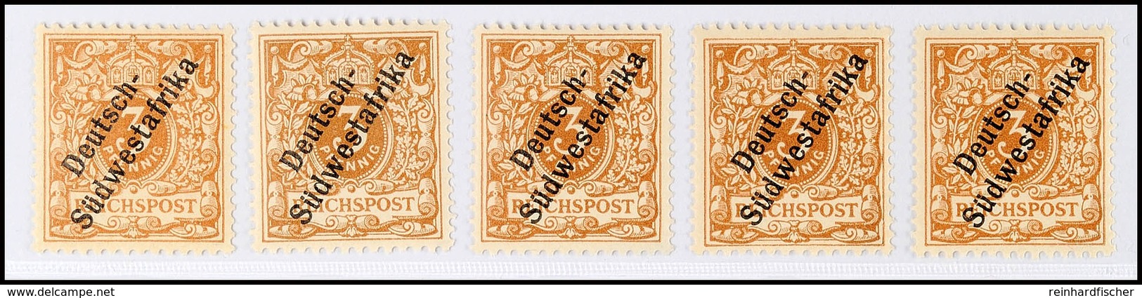 3 Pfg Hellockerbraun, Aufdruck In Zwei Worten, 5 Stück Tadellos Postfrisch, Je Gepr. Jäschke-L. BPP, Mi. 150.-, Katalog: - German South West Africa