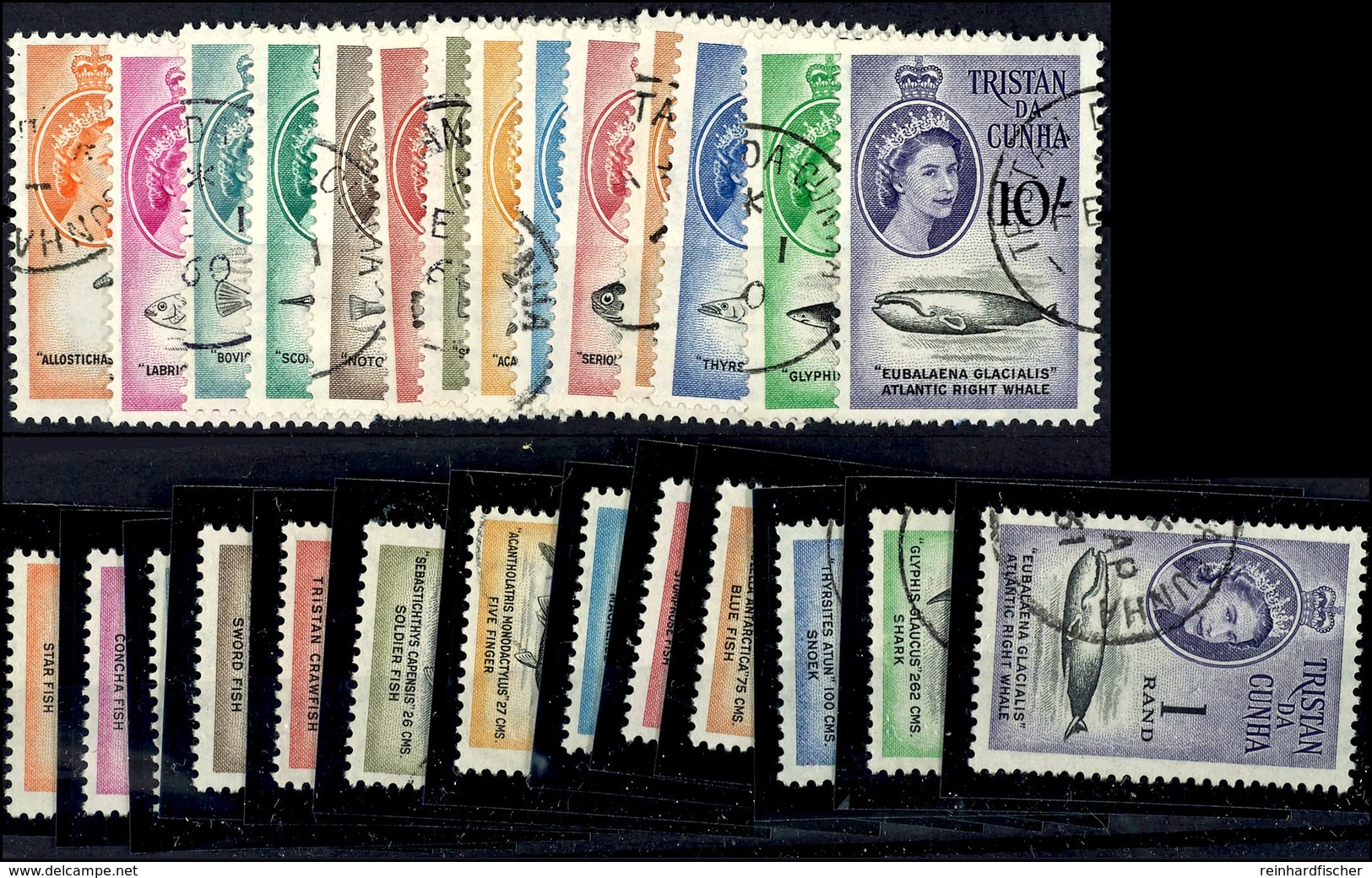 1960 - 1961, Beide Dauerserien "Meerestiere" Komplett Tadellos Gestempelt, Mi. 200.-, Katalog: 28/54 O - Tristan Da Cunha