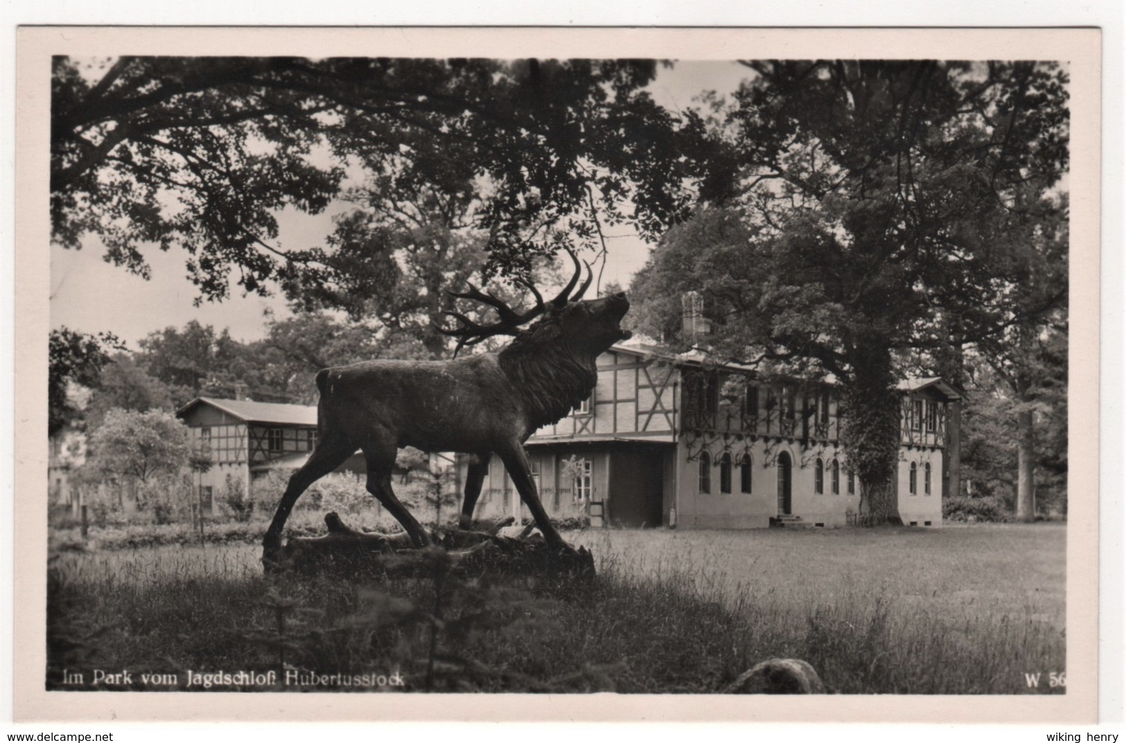 Joachimsthal - S/w Im Park Vom Jagdschloß Hubertusstock - Joachimsthal