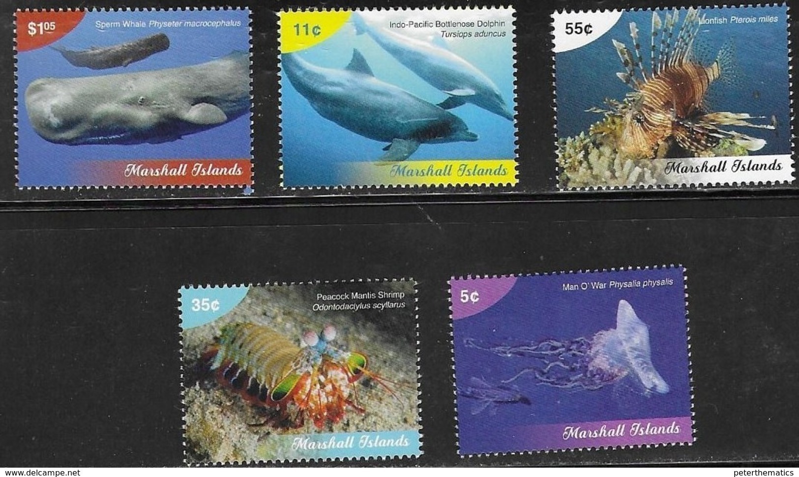 MARSHALL ISLANDS, 2019, MNH, MARINE LIFE DEFINITVES, WHALES, DOLPHINS, LION FISH, JELLYFISH, CRUSTACEANS, 5v - Ballenas