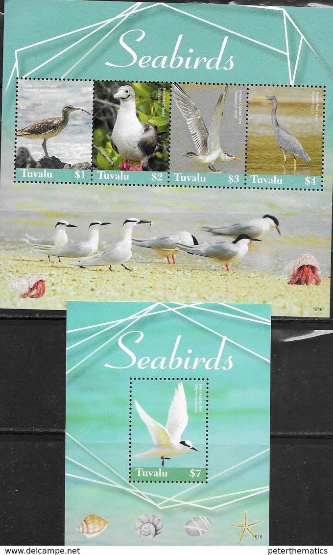 TUVALU, 2019, MNH,  BIRDS, SEABIRDS, TERNS,HERONS, SHEETLET+S/SHEET , HIGH FV - Otros & Sin Clasificación