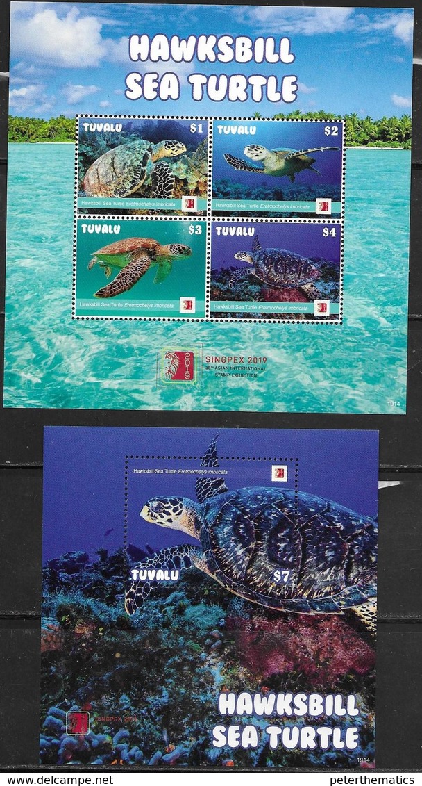 TUVALU, 2019, MNH,REPTILES , TURTLES, HAWKSBILL TURTLE,  SHEETLET+S/SHEET , HIGH FV - Tortugas