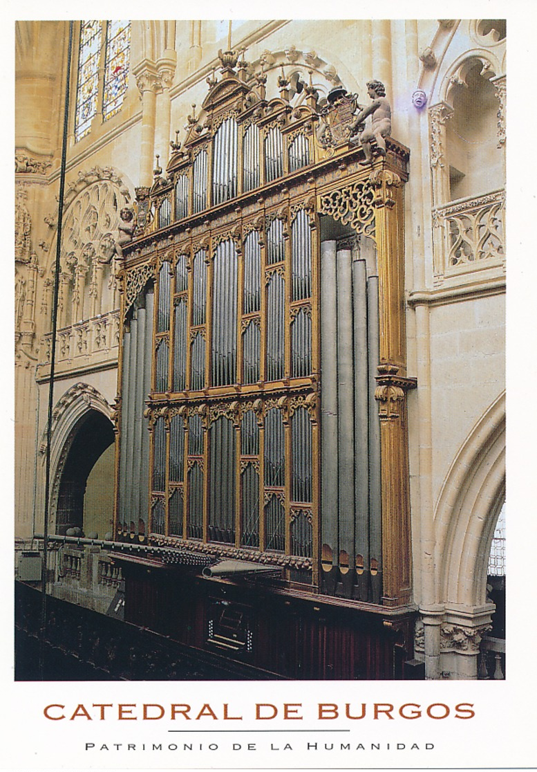 Burgos (Espagne) Cathedrale De Burgos - Orgue (Côte Epistola) - Burgos