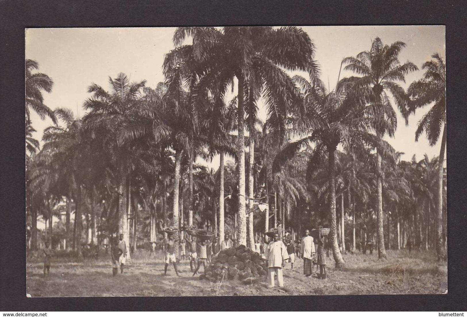 CPA Dahomey Afrique Noire Cotonou Carte Photo RPPC Non Circulé Voir Scan Du Dos - Dahomey