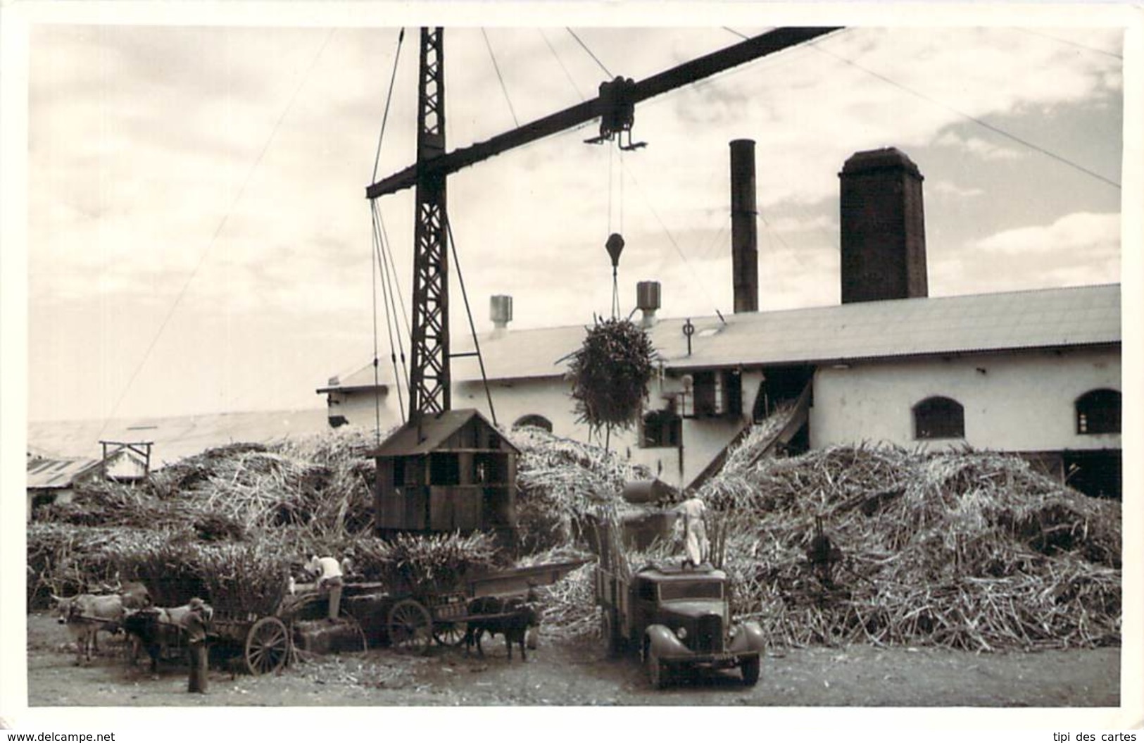 Photo Antilles Française - Travail De La Canne à Sucre 1958, Campagne Sucrière Au Fond L'usine, Cannes, Grue, ... - Berufe