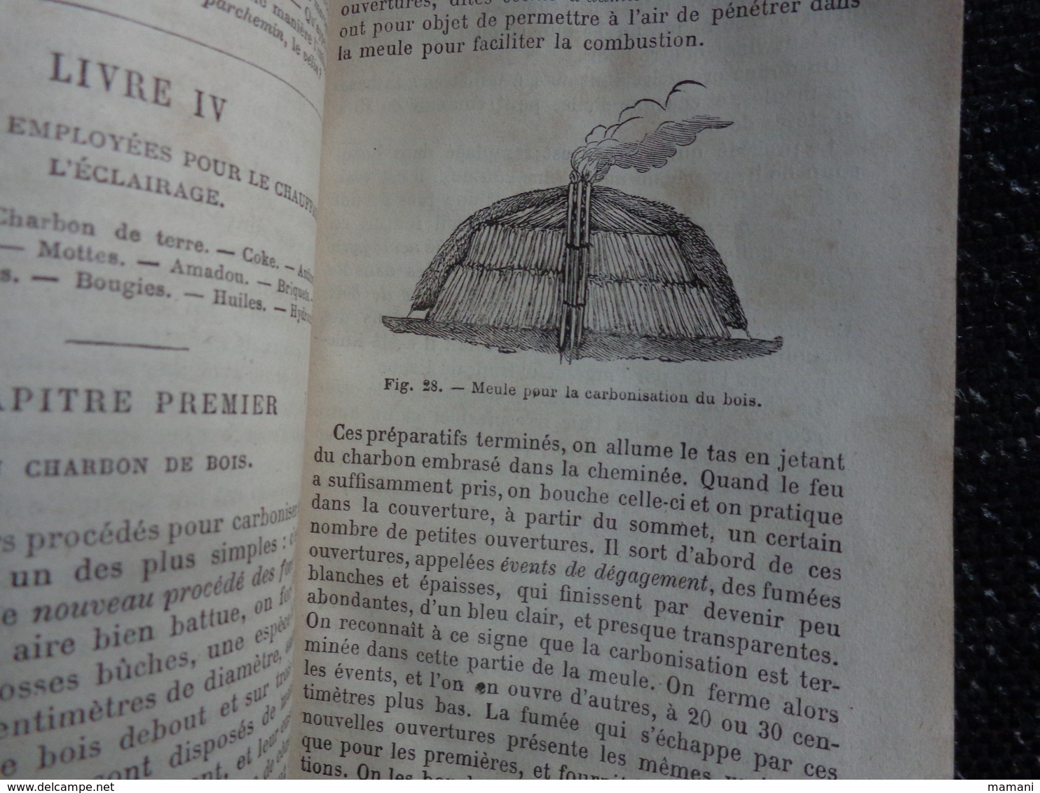 premiers éléments d'Industrie manufacturière , P. Leguidre , Delagrave , 1872-miel-chocolat-epices-conserves-vermicelle