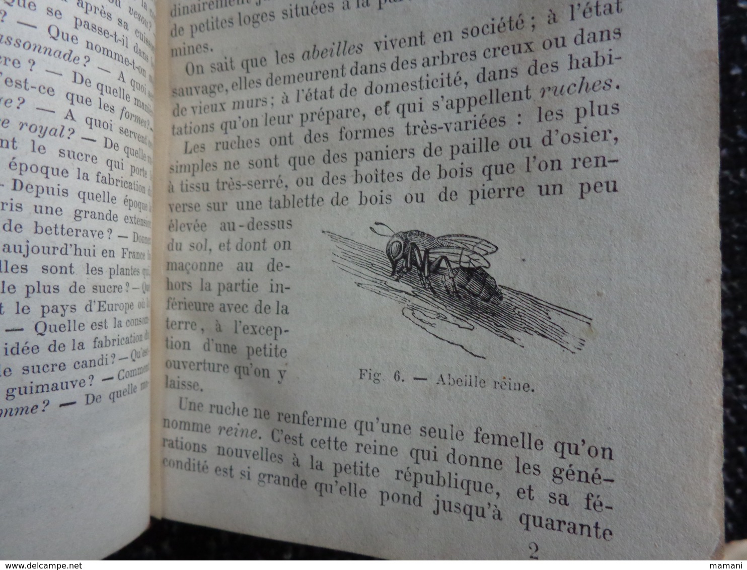 premiers éléments d'Industrie manufacturière , P. Leguidre , Delagrave , 1872-miel-chocolat-epices-conserves-vermicelle