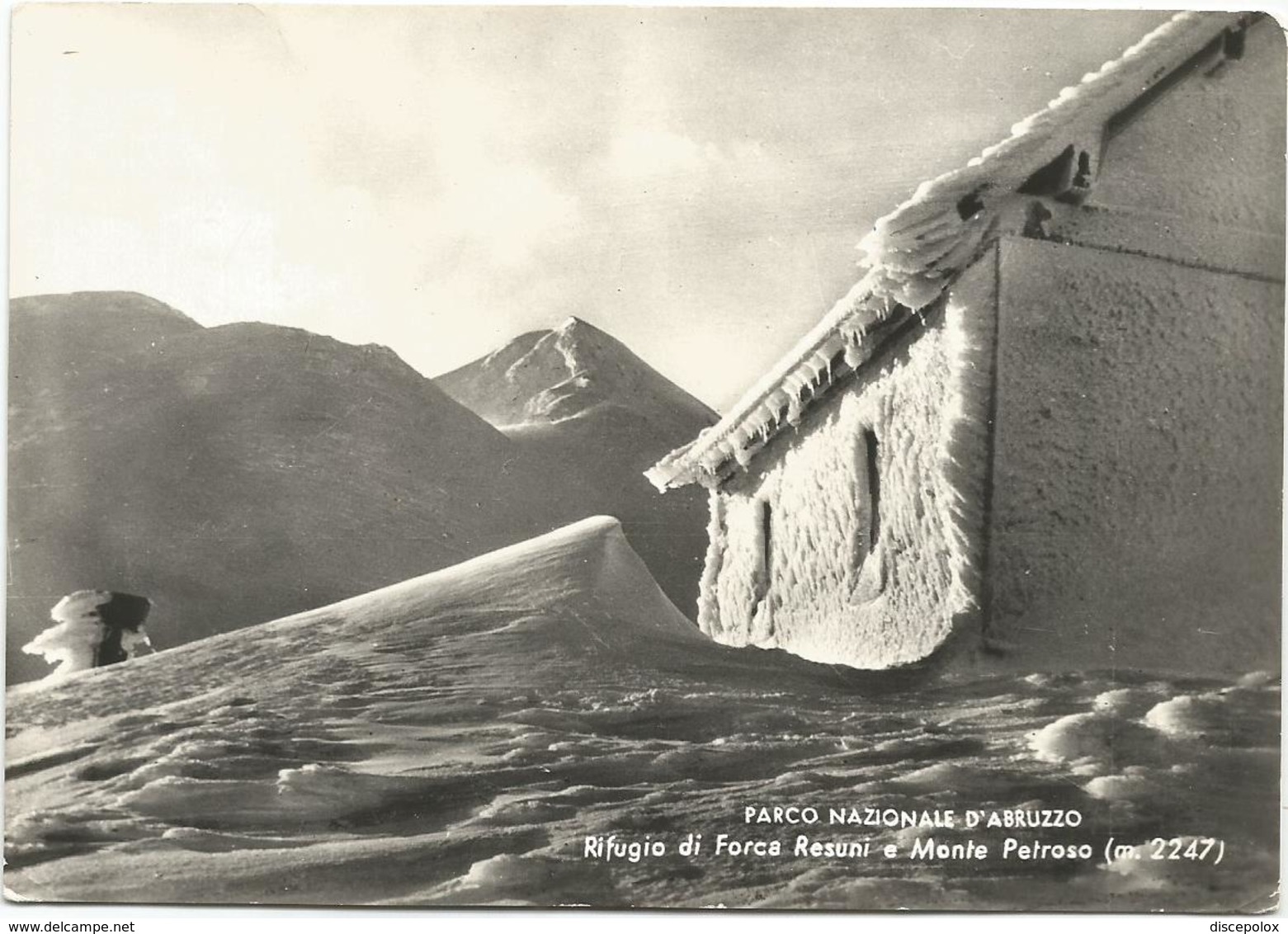 Y4735 Parco Nazionale D'Abruzzo (L'Aquila) - Rifugio Di Forca Resuni E Monte Petroso / Viaggiata 1958 - Altri & Non Classificati