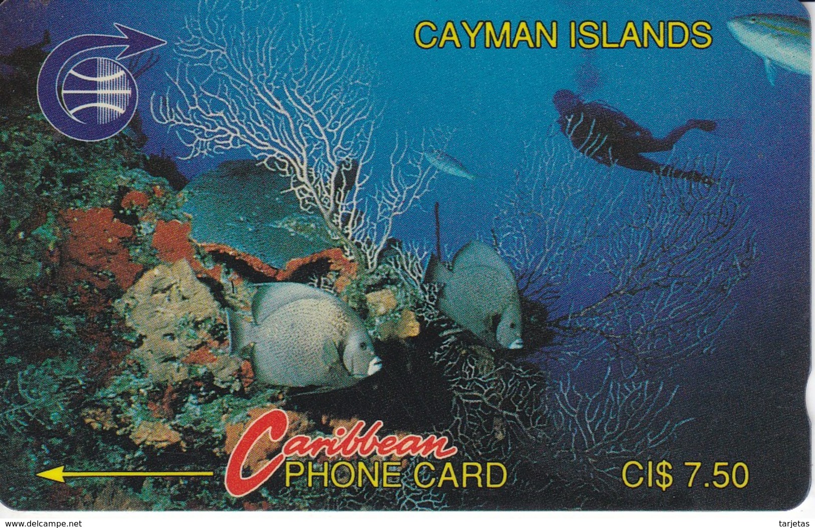 TARJETA DE CAYMAN ISLANDS DE VARIOS PECES (FISH-PEZ-POISSON) 3CCIA - Peces