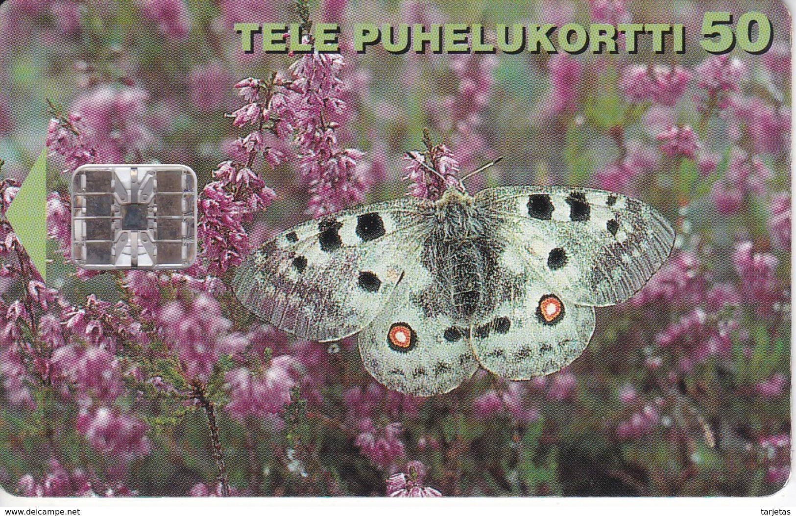 TARJETA DE FINLANDIA DE UNA MARIPOSA (BUTERFLY) - Schmetterlinge