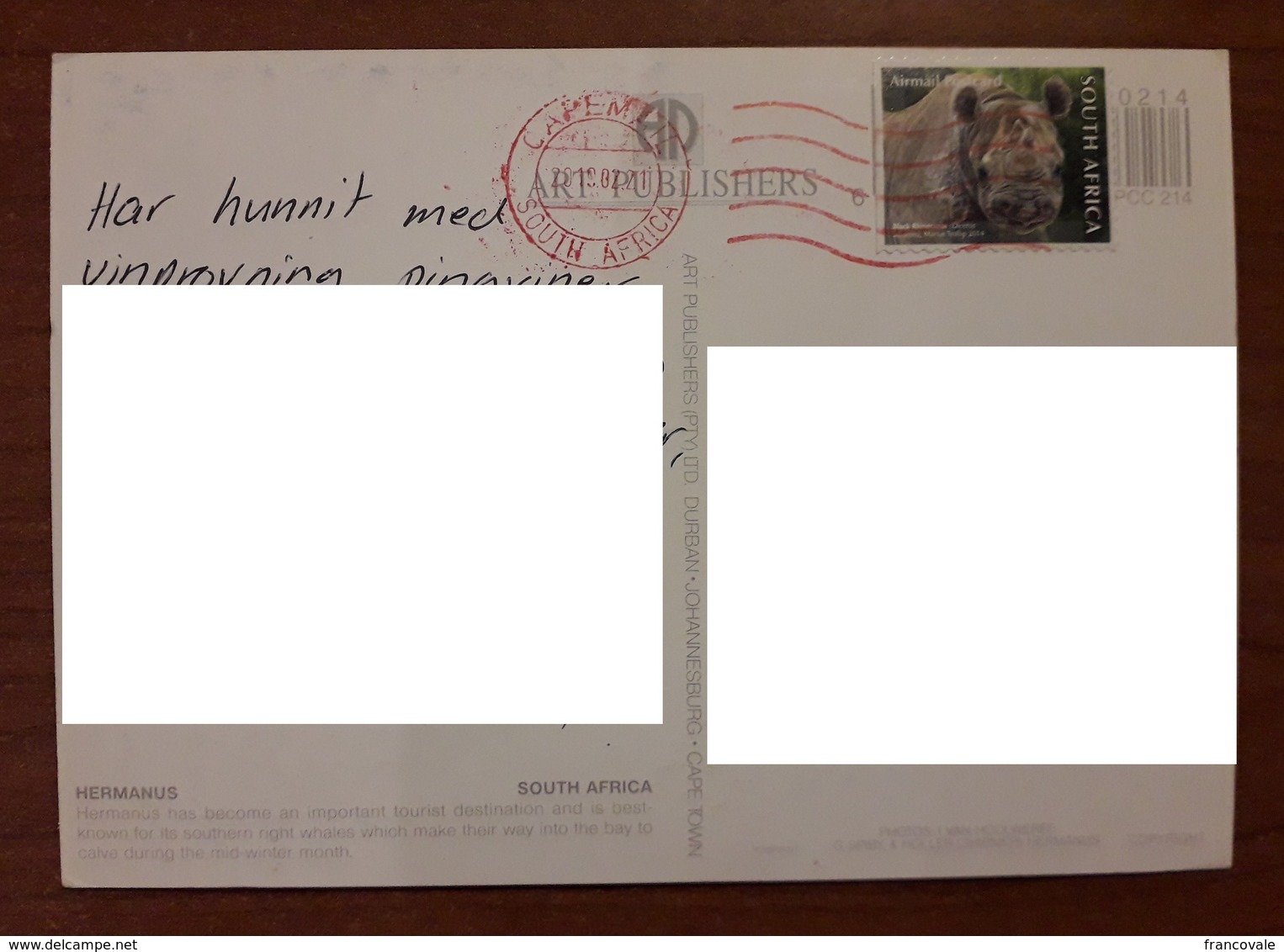 South Africa  2019 Airmail Postcard Rhino Animals - Lettres & Documents