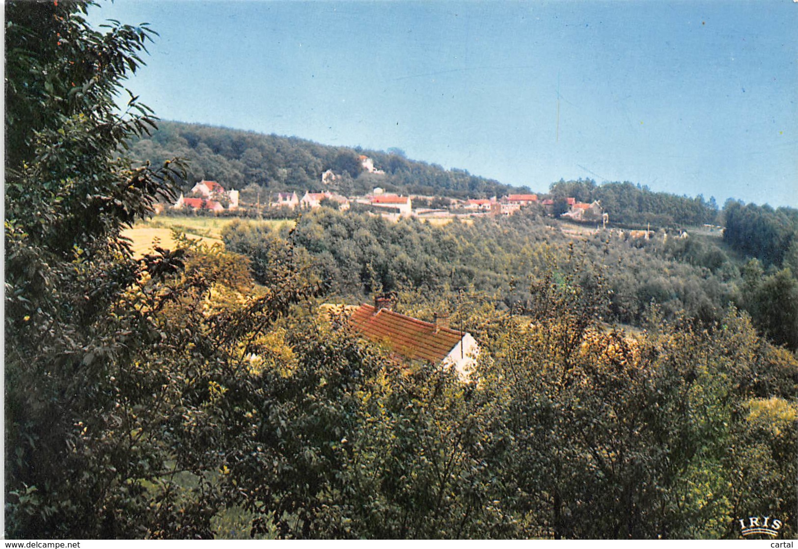 CPM - KLUISBERG - MONT De L'ENCLUS - Panorama - Kluisbergen