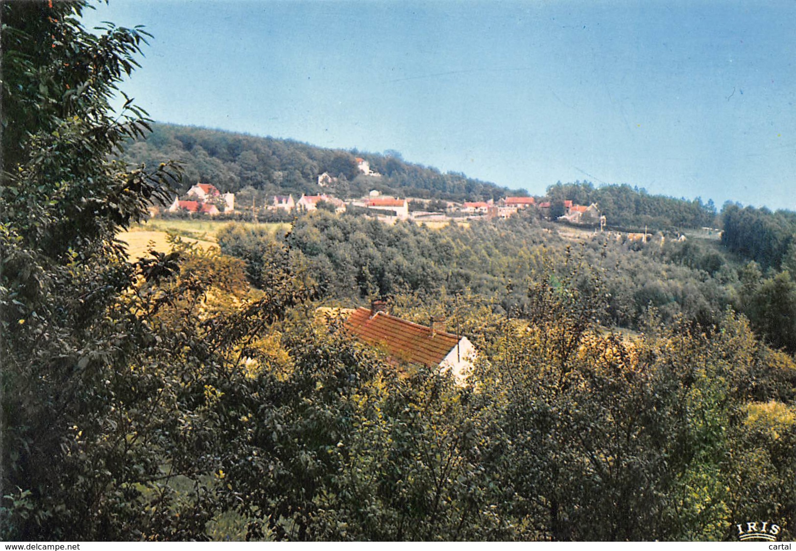 CPM - KLUISBERG - MONT De L'ENCLUS - Panorama - Mont-de-l'Enclus