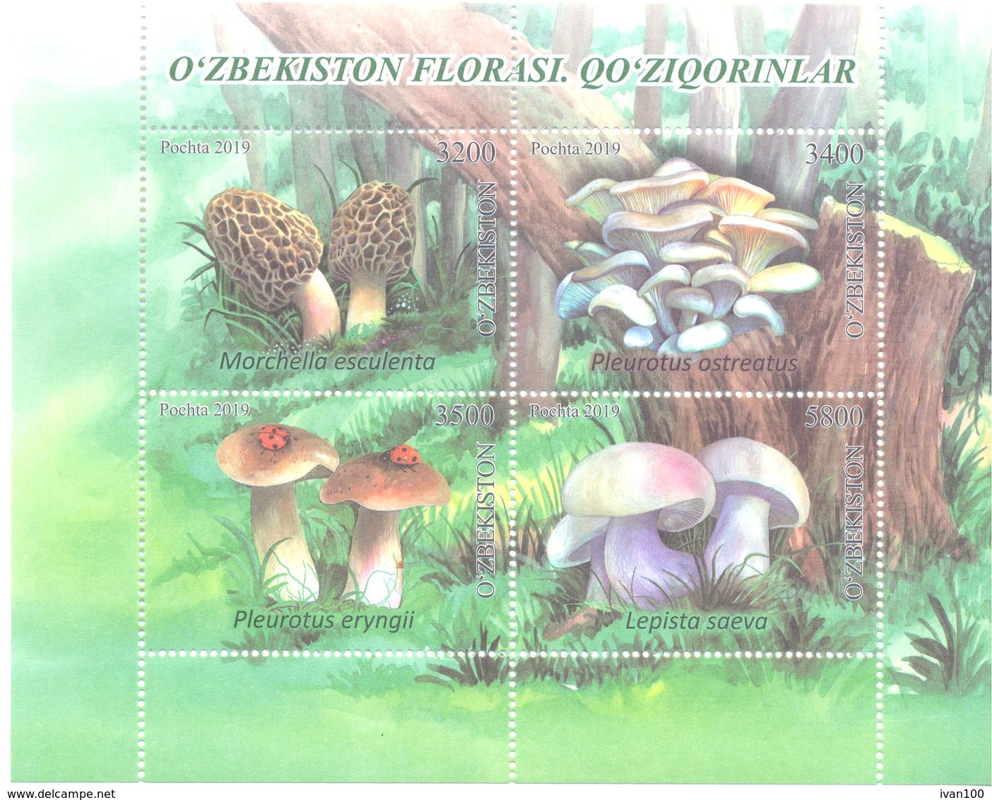 2019. Uzbekistan, Mushrooms Of Uzbekistan, S/s, Mint/** - Uzbekistan