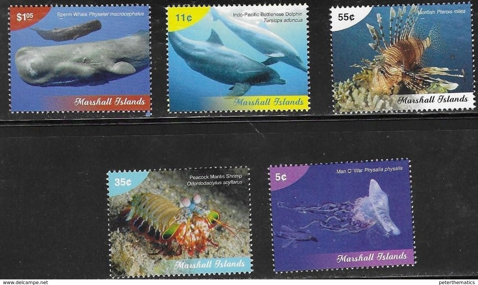 MARSHALL ISLANDS, 2019, MNH, MARINE LIFE DEFINITVES, WHALES, DOLPHINS, LION FISH, JELLYFISH, CRUSTACEANS, 5v - Whales