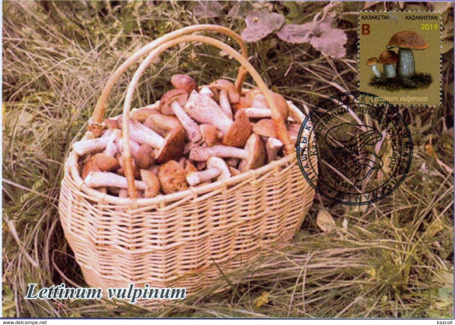 Kazakhstan 2019. Maxicard (Maximum Cards).  Kazakhstan Mushrooms. Plants. - Mushrooms