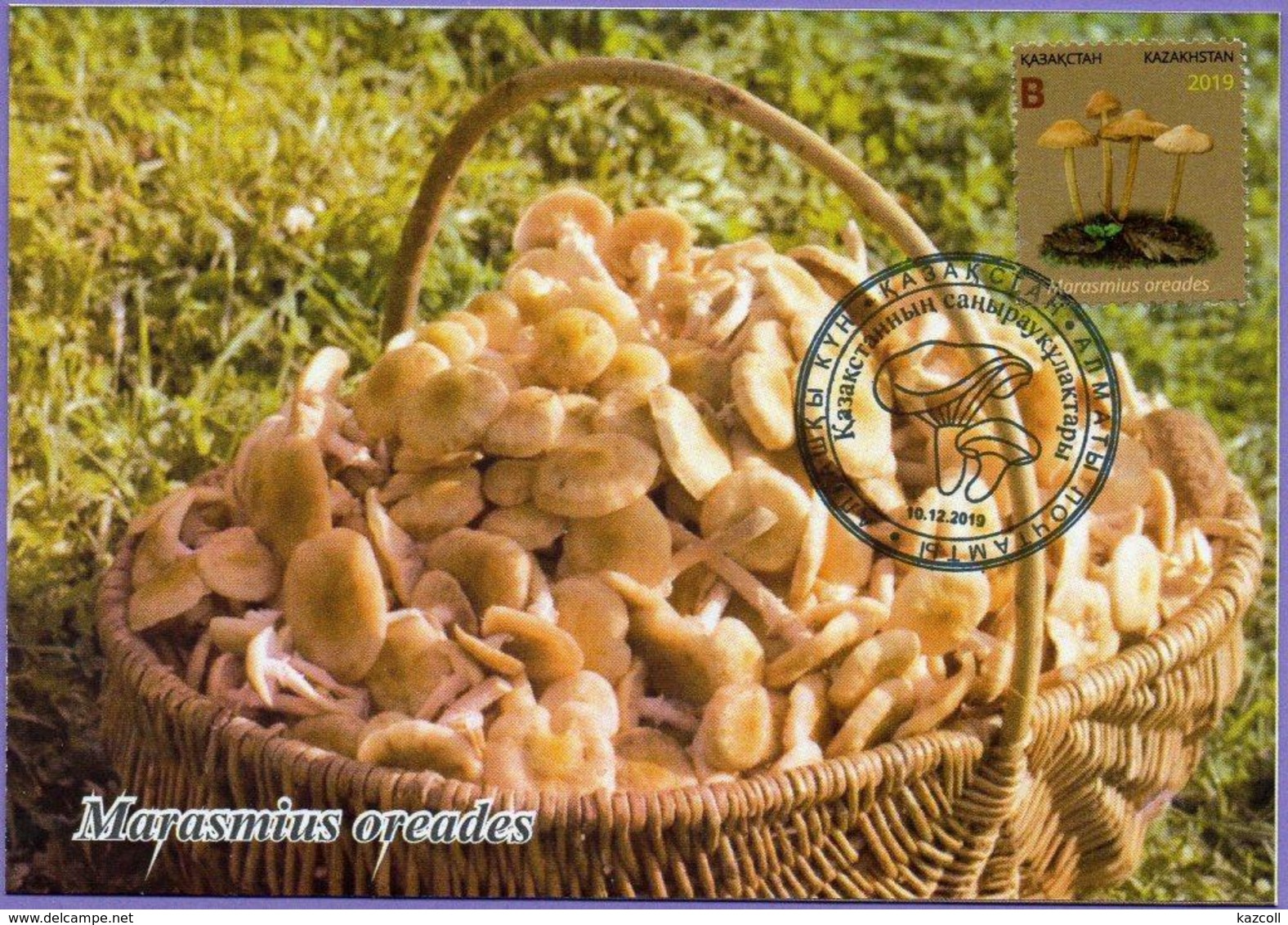 Kazakhstan 2019. Maxicard (Maximum cards).  Kazakhstan mushrooms. Plants.